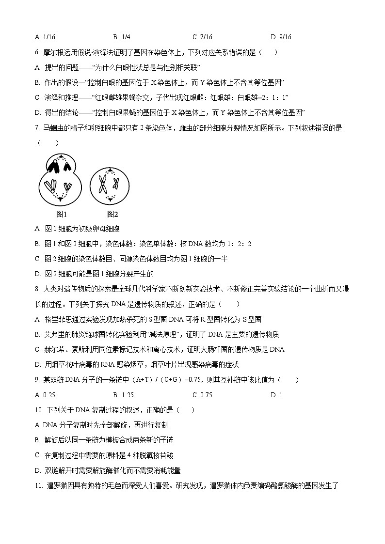 辽宁省沈阳市浑南区广全实验学校2024-2025学年高二上学期开学考试生物试卷（原卷版）第2页