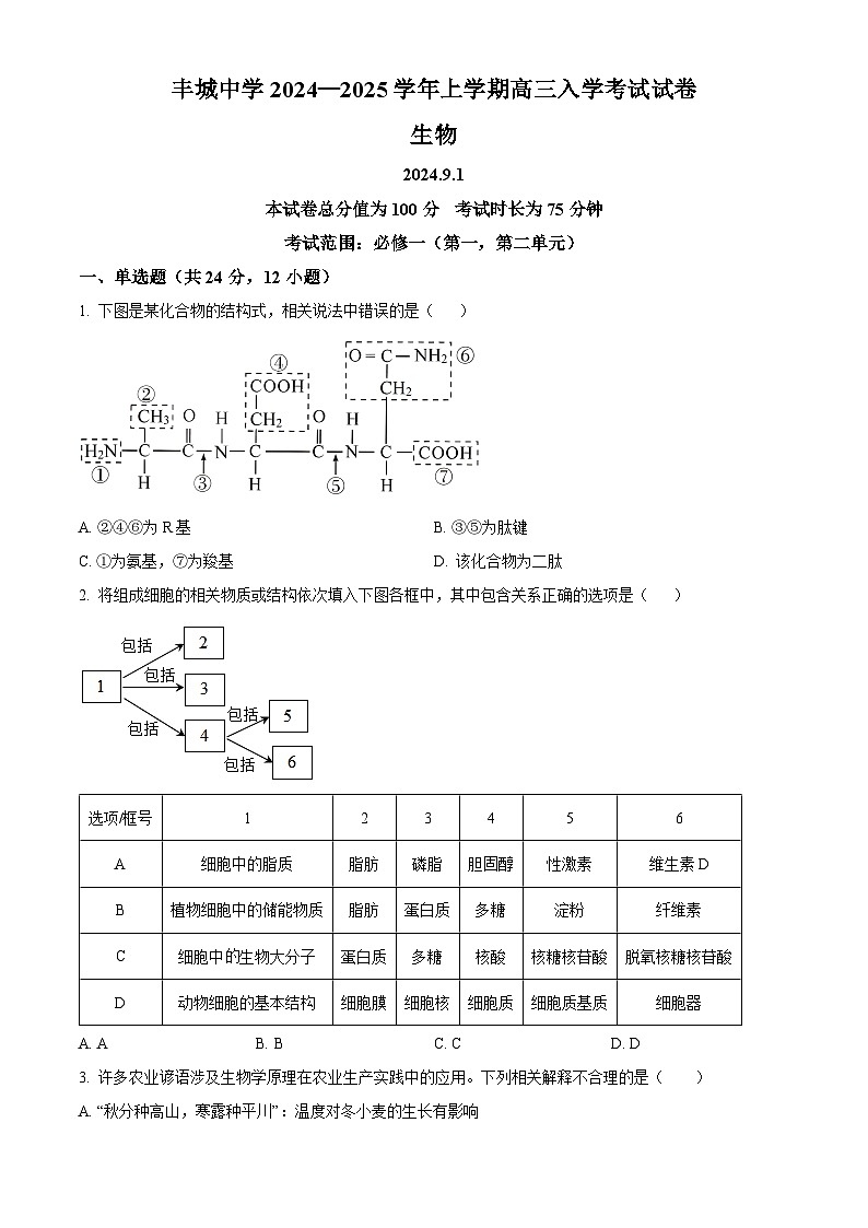 江西省宜春市丰城市江西省丰城中学2024-2025学年高二上学期开学生物试题（原卷版+解析版）01
