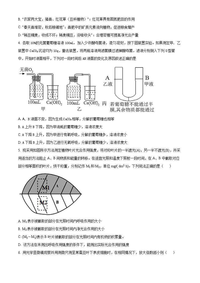 江西省宜春市丰城市江西省丰城中学2024-2025学年高二上学期开学生物试题（原卷版+解析版）02