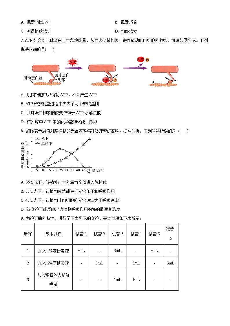 江西省宜春市丰城市江西省丰城中学2024-2025学年高二上学期开学生物试题（原卷版+解析版）03