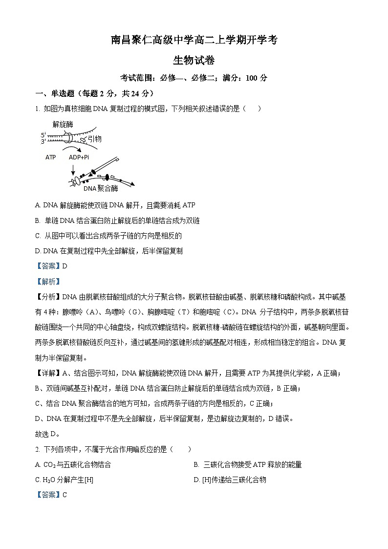 江西省南昌市聚仁高级中学2024-2025学年高二上学期入学考试生物试题（解析版）第1页