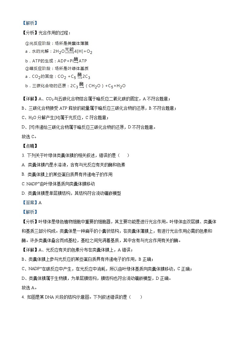 江西省南昌市聚仁高级中学2024-2025学年高二上学期入学考试生物试题（解析版）第2页