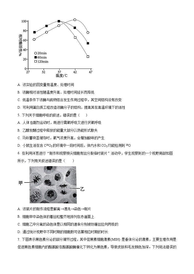 浙江省2024-2025学年高三上学期开学生物试题（原卷版）02