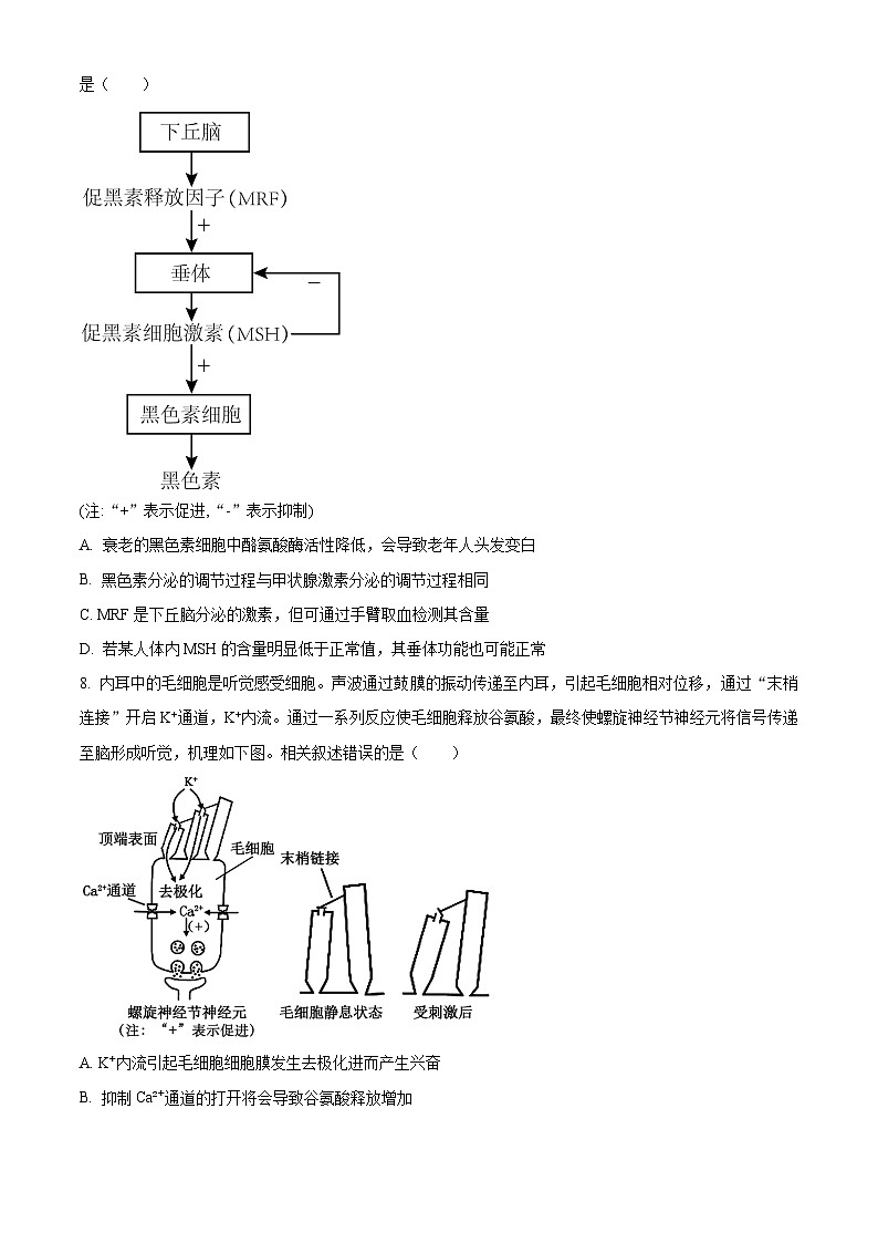 浙江省2024-2025学年高三上学期开学生物试题（原卷版）03