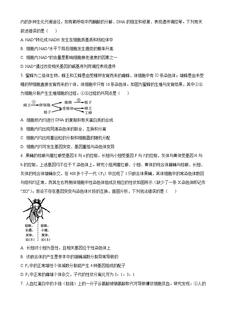 河南省2024-2025学年高三上学期秋季开学联考生物试题（原卷版）第2页