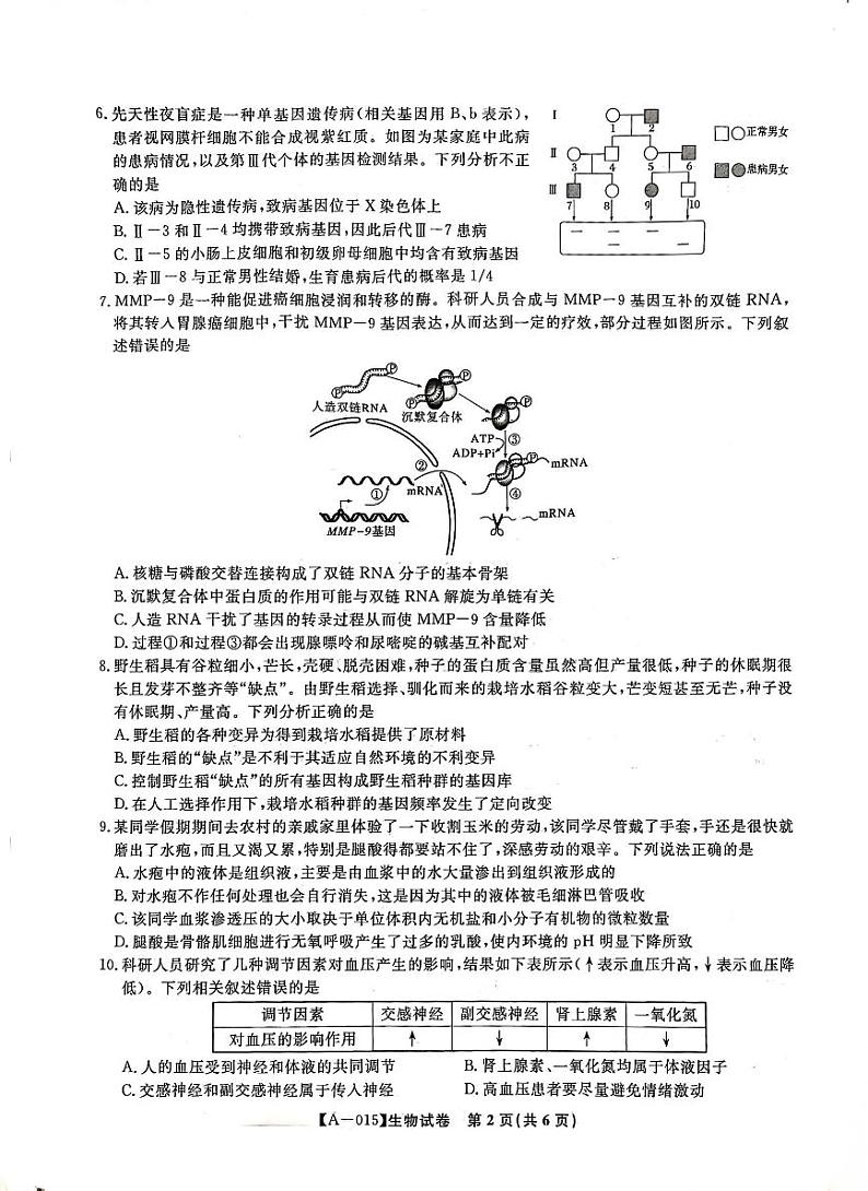 涡阳二中高三开学考试生物试题第2页
