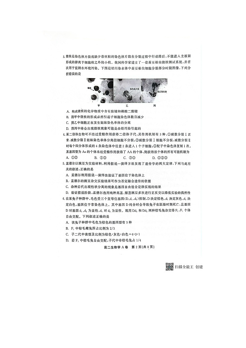 浮山中学2024-2025学年高二上生物开学考第2页