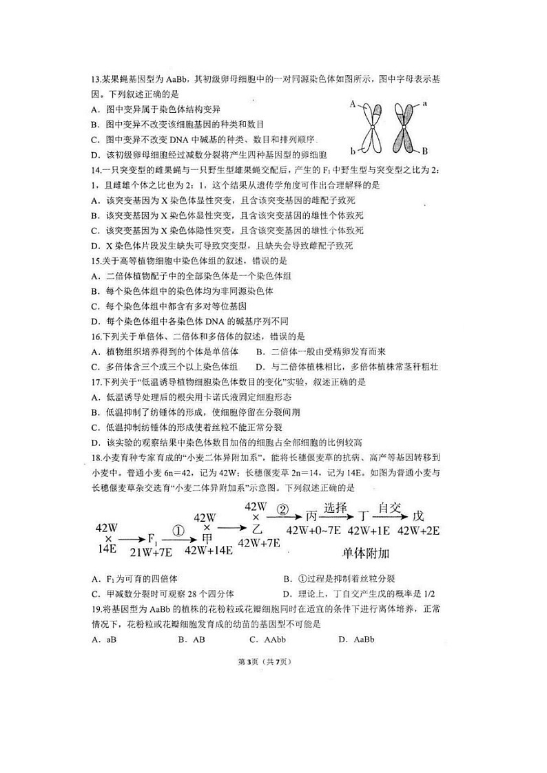 安徽省马鞍山市第二中学2022-2023学年高二上学期10月份素质测试生物试题03