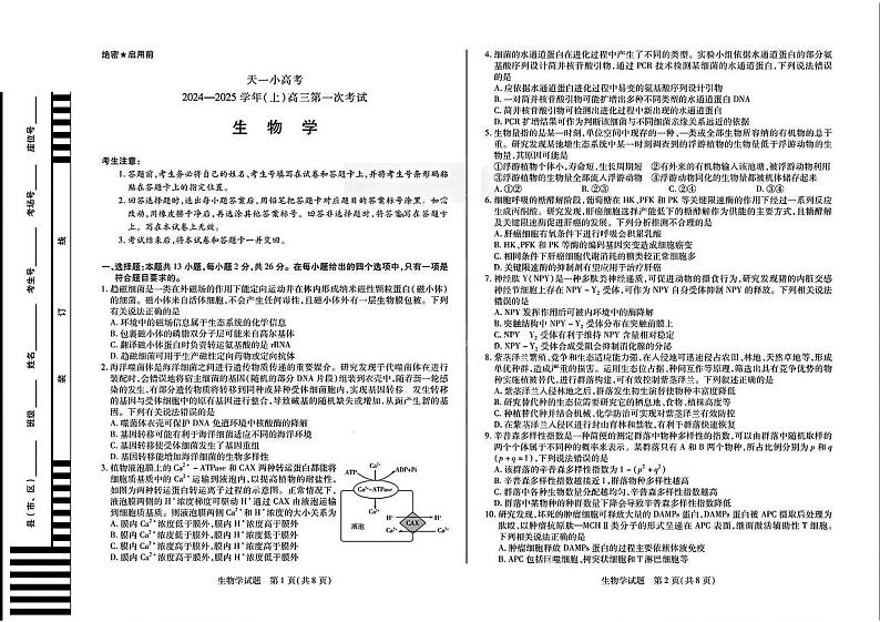 安徽省天一大联考2024-2025学年高三上学期8月份联考生物试卷01