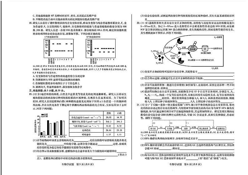 安徽省天一大联考2024-2025学年高三上学期8月份联考生物试卷03