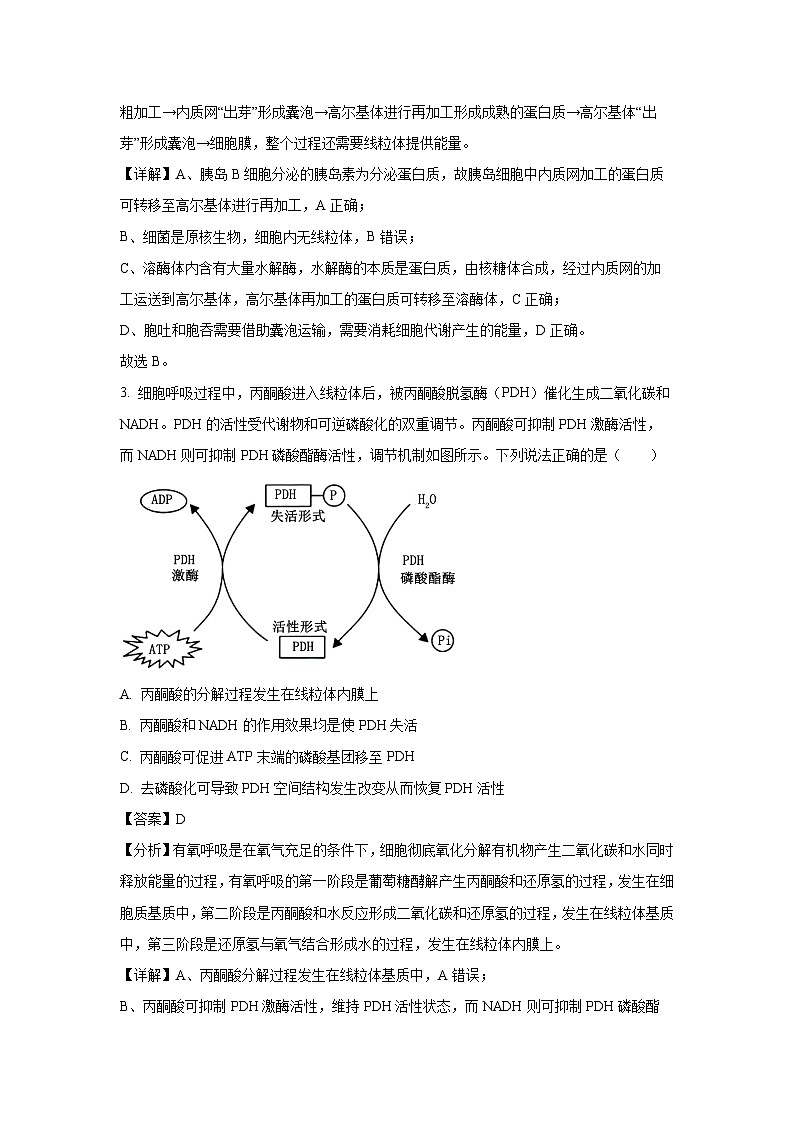 [生物][期末]陕西省榆林市2023-2024学年高二下学期期末校际联考试题(解析版)02