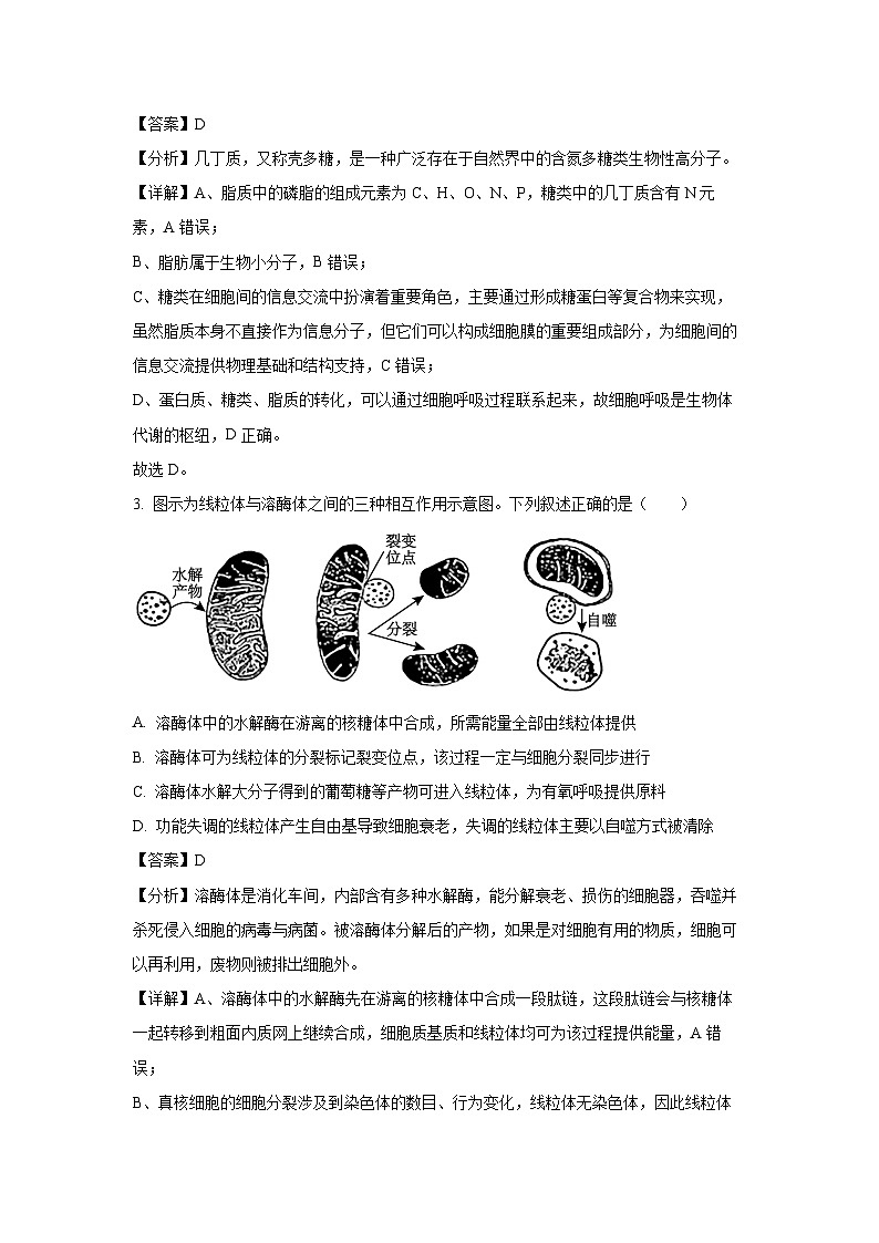 [生物][期末]山东省济宁市2023-2024学年高二下学期期末质量检测试题(解析版)第2页