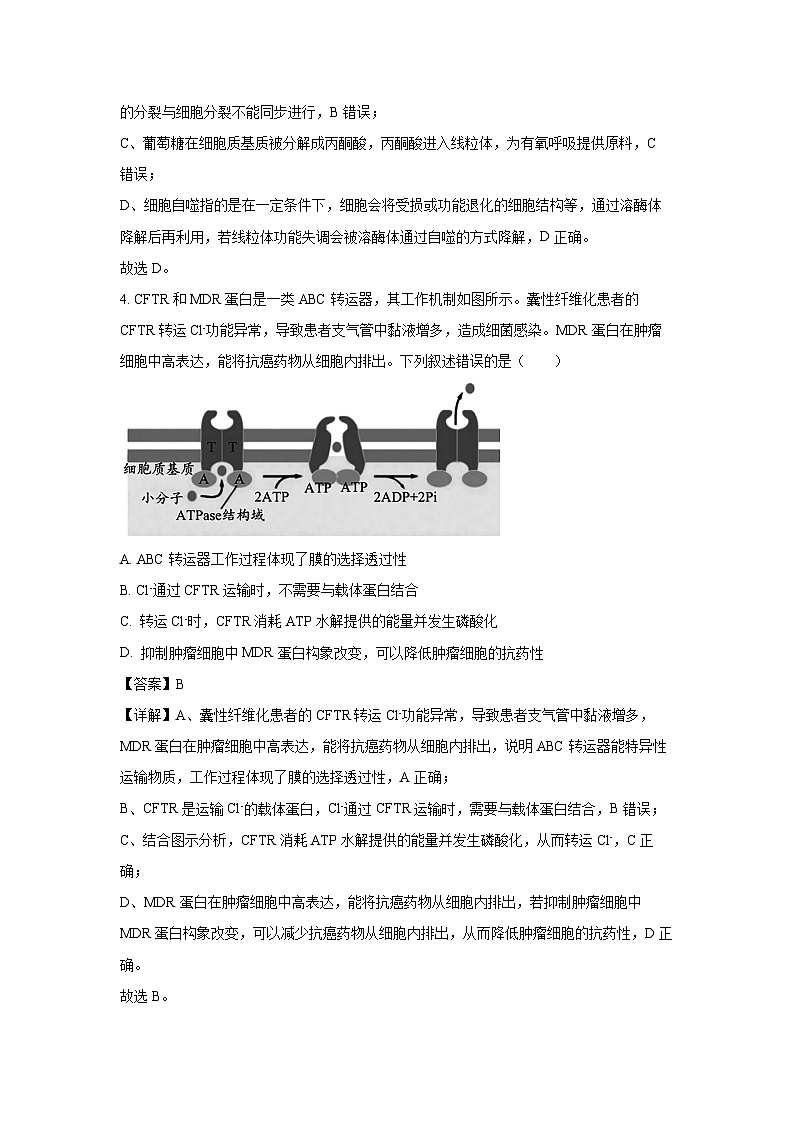 [生物][期末]山东省济宁市2023-2024学年高二下学期期末质量检测试题(解析版)第3页
