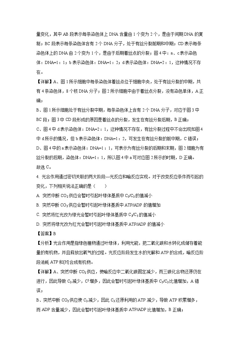 [生物][期末]山东省泰安市泰山国际学校2023-2024学年高二下学期期末考试试卷(解析版)第3页