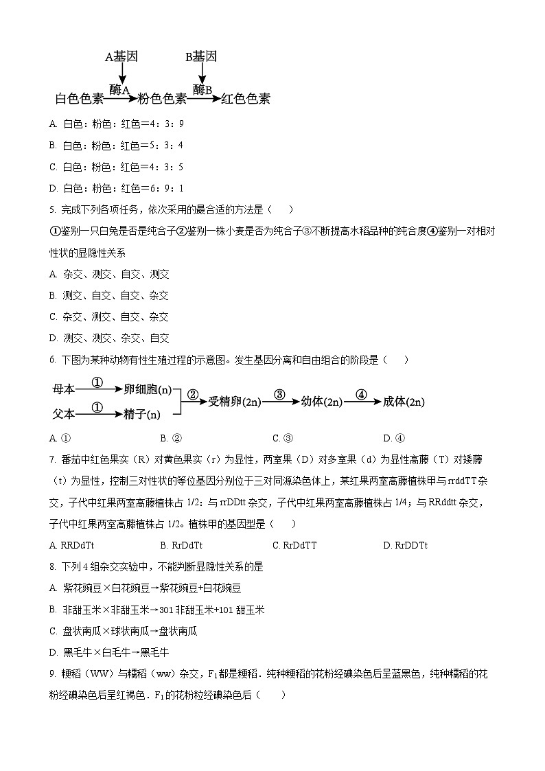 北京市第一六六中学2023-2024学年高一下学期3月月考生物试题（Word版附解析）02