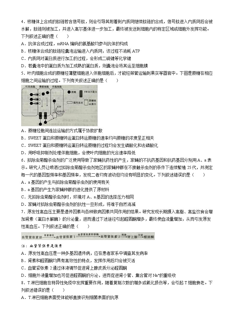 河北省2025届高三上学期大数据应用调研联合测评（I）生物试题（Word版附解析）第2页