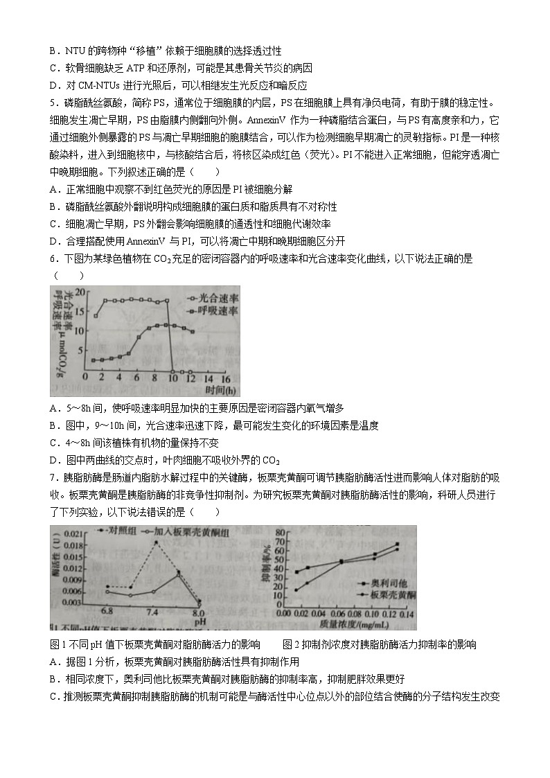 山东省新高考质量测评2025届高三上学期9月联考生物试题（Word版附答案）02