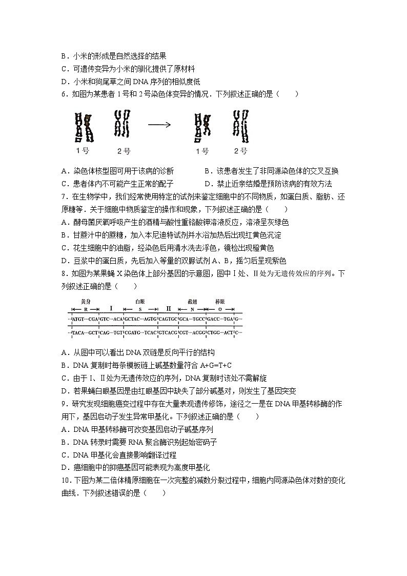 浙江省名校协作体2024-2025学年高二上学期开学考试生物试题（Word版附答案）02