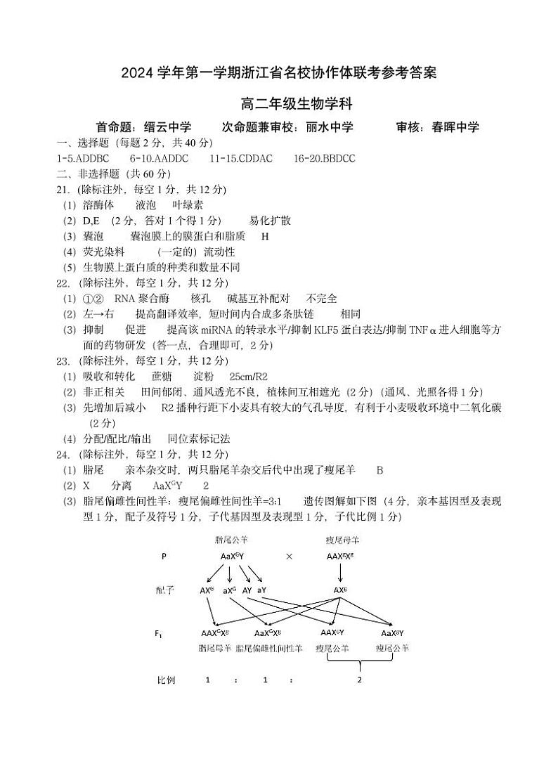 浙江省名校协作体2024-2025学年高二上学期开学考试生物试题（Word版附答案）01