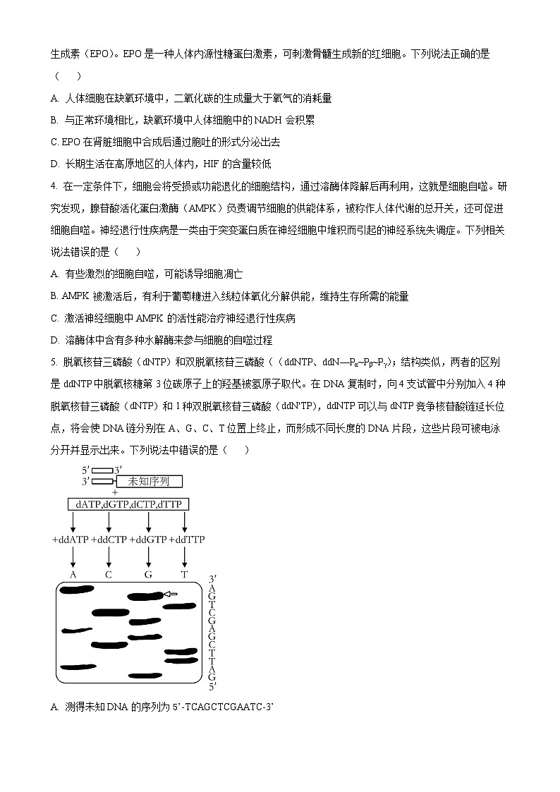 山东省烟台市招远市第二中学2025届高三摸底联考生物试题（原卷版+解析版）02