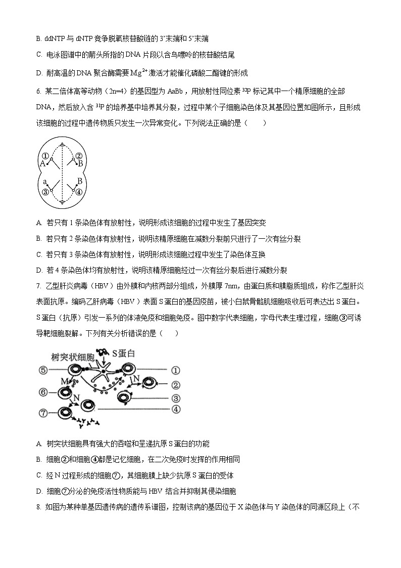 山东省烟台市招远市第二中学2025届高三摸底联考生物试题（原卷版+解析版）03
