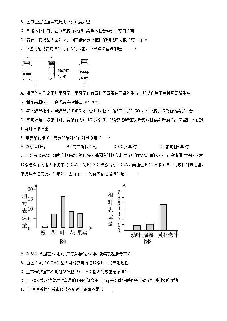 河南省周口市川汇区周口恒大中学2024-2025学年高三上学期开学考试生物试题（原卷版）第3页