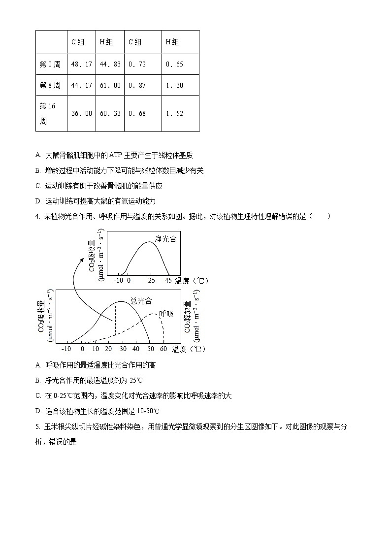 北京西城外国语学校2024--2025学年高三上学期开学考试生物试题（原卷版）第2页