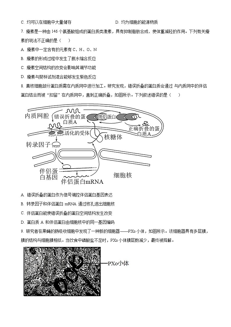 北京市十五中2024--2025学年高三上学期开学考试生物试题（原卷版）第2页