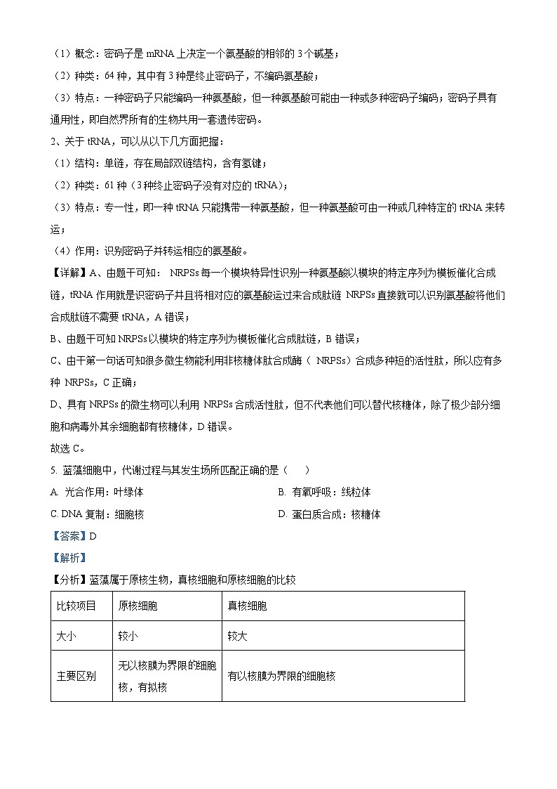北京市十五中2024--2025学年高三上学期开学考试生物试题（解析版）第3页