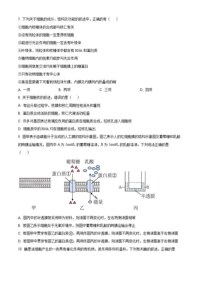 云南省大理白族自治州大理市大理白族自治州民族中学2024-2025学年高二上学期开学生物试题（原卷版）第3页