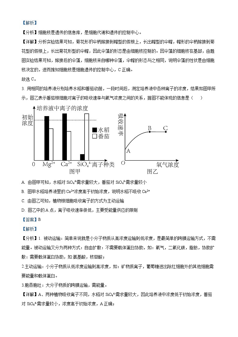 河南省驻马店市树人高级中学2024-2025学年高二上学期开学考试生物试题（解析版）02