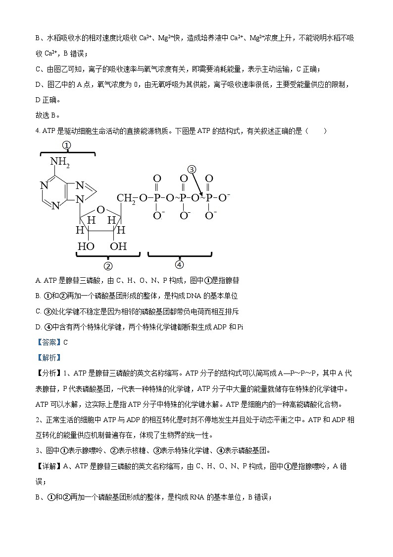 河南省驻马店市树人高级中学2024-2025学年高二上学期开学考试生物试题（解析版）03
