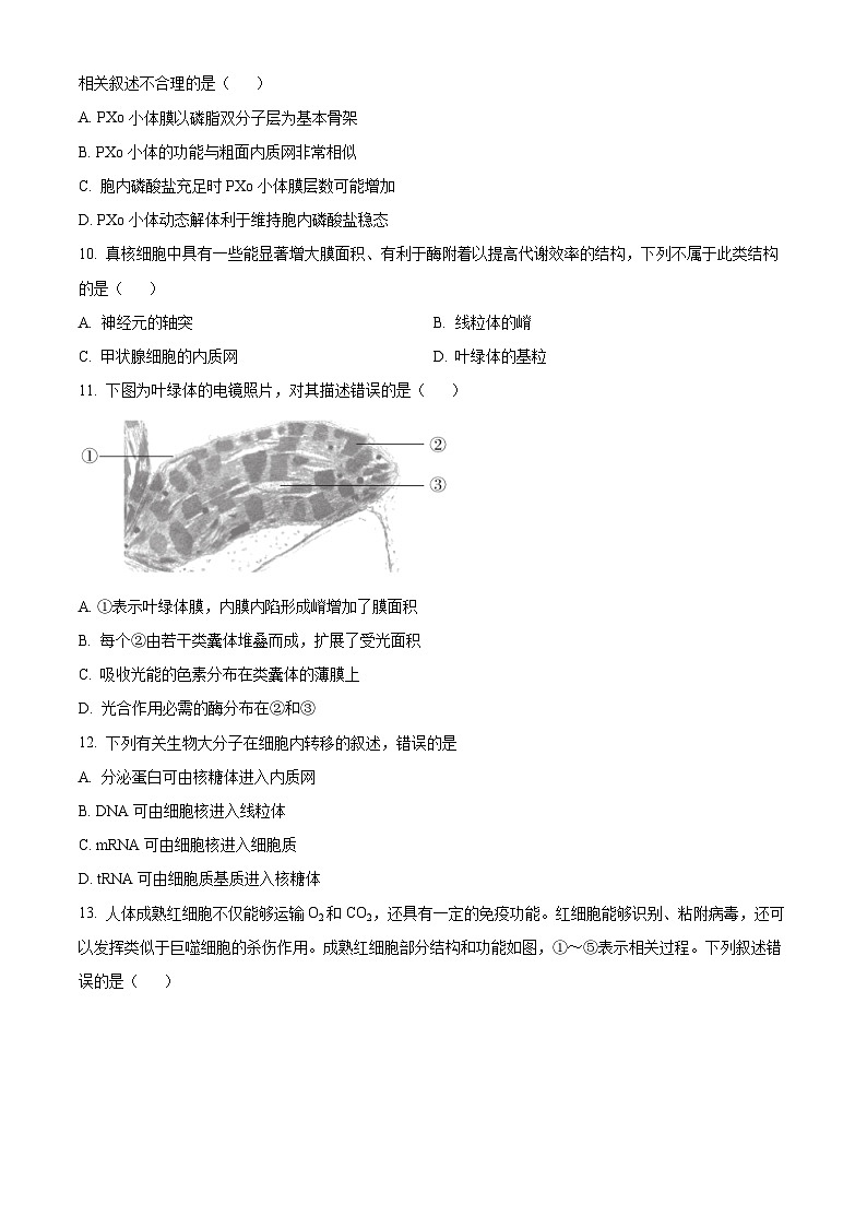 北京市十五中2024--2025学年高三上学期开学考试生物试题（原卷版）03
