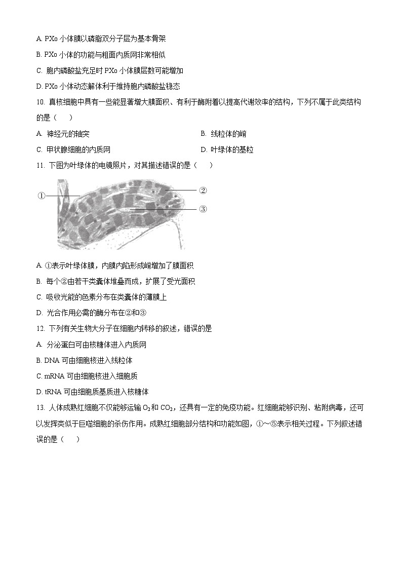 北京市十五中2024-2025学年高三上学期开学考试生物试题（原卷版）03