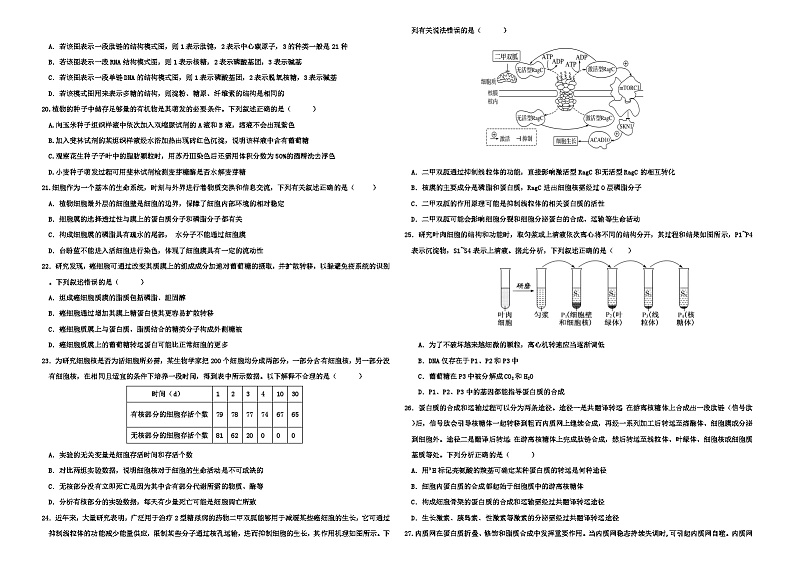新疆生产建设兵团第二师华山中学2024-2025学年高三上学期第一次月考生物试卷03