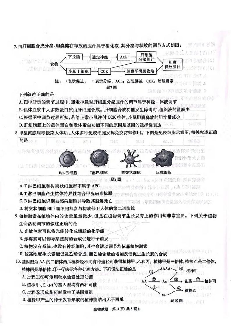 生物丨安徽省六校教育研究会2025届高三9月入学素质测试（开学联考）生物试卷及答案03