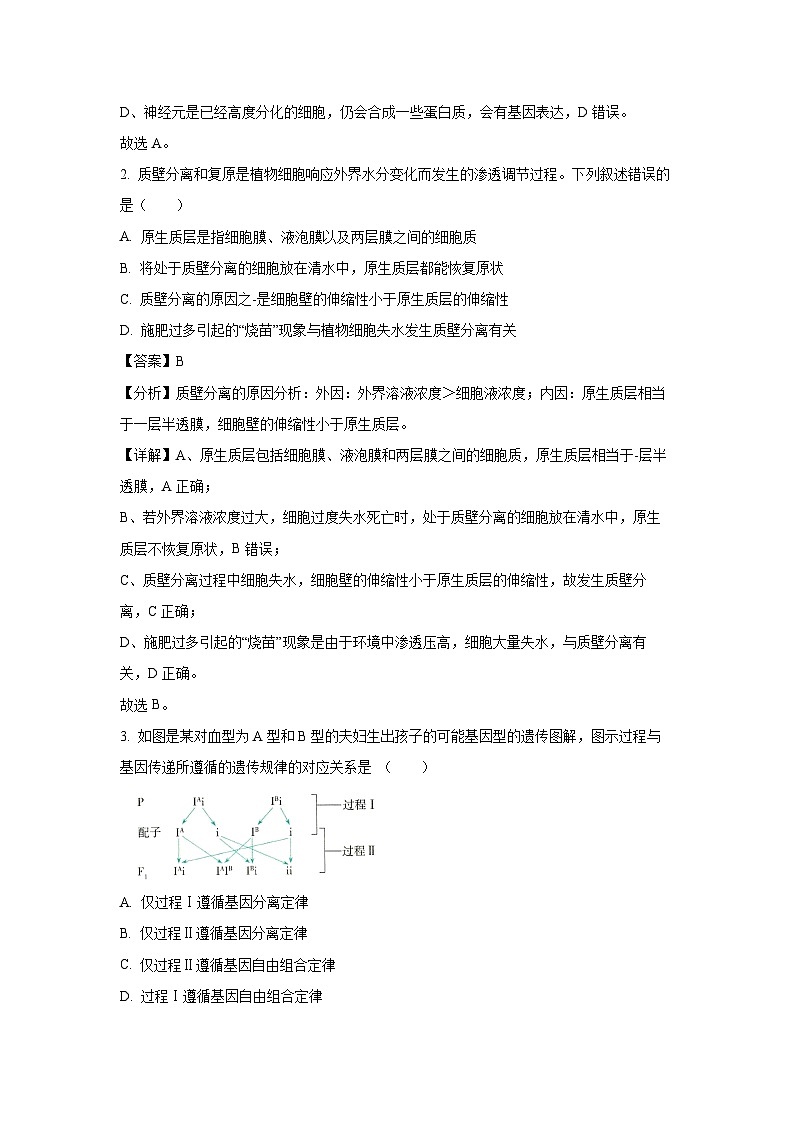 [生物]2024届广西普通高等学校招生高考押题卷(二)(解析版)第2页