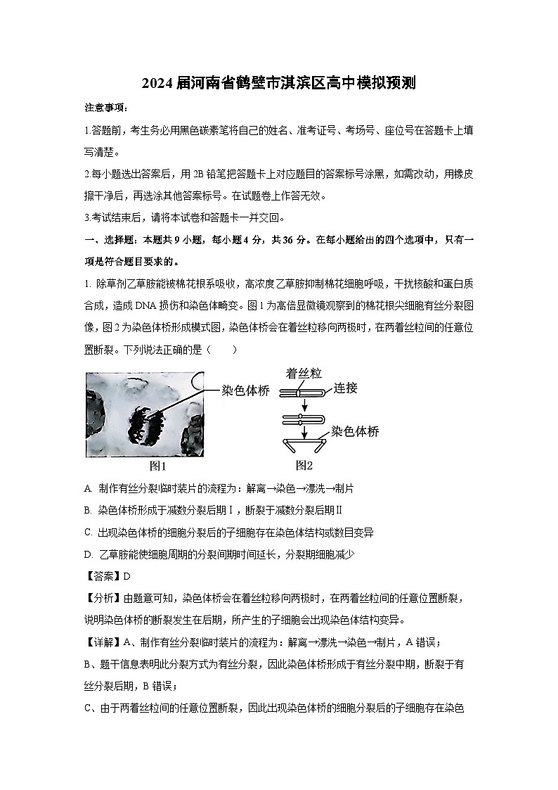 [生物]2024届河南省鹤壁市淇滨区高考模拟试卷(解析版)第1页