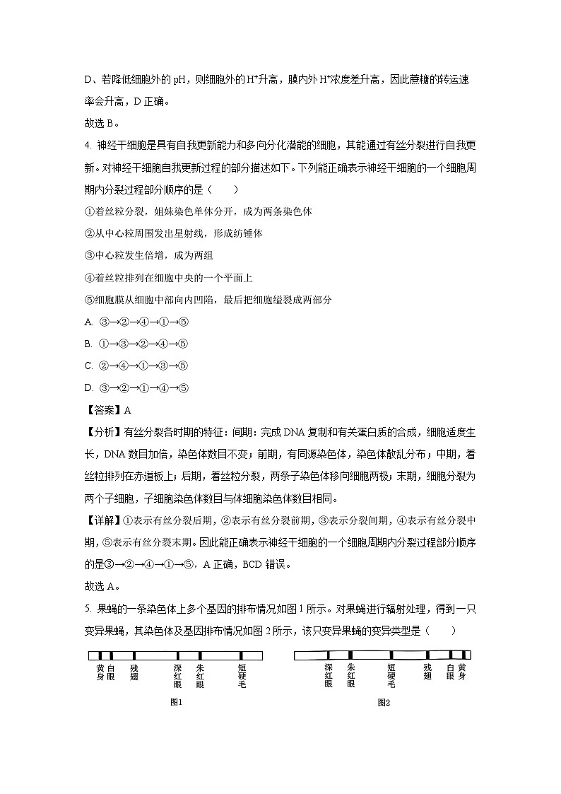 [生物]贵州省黔东南苗族侗族自治州2024-2025学年高三上学期开学考试(解析版)第3页