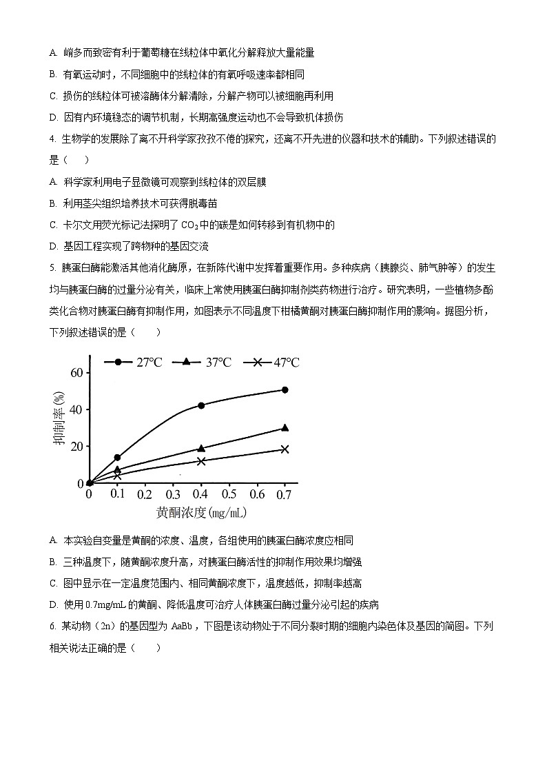 广东省省潮南区2024-2025学年高三上学期摸底考试生物试题（原卷版）第2页