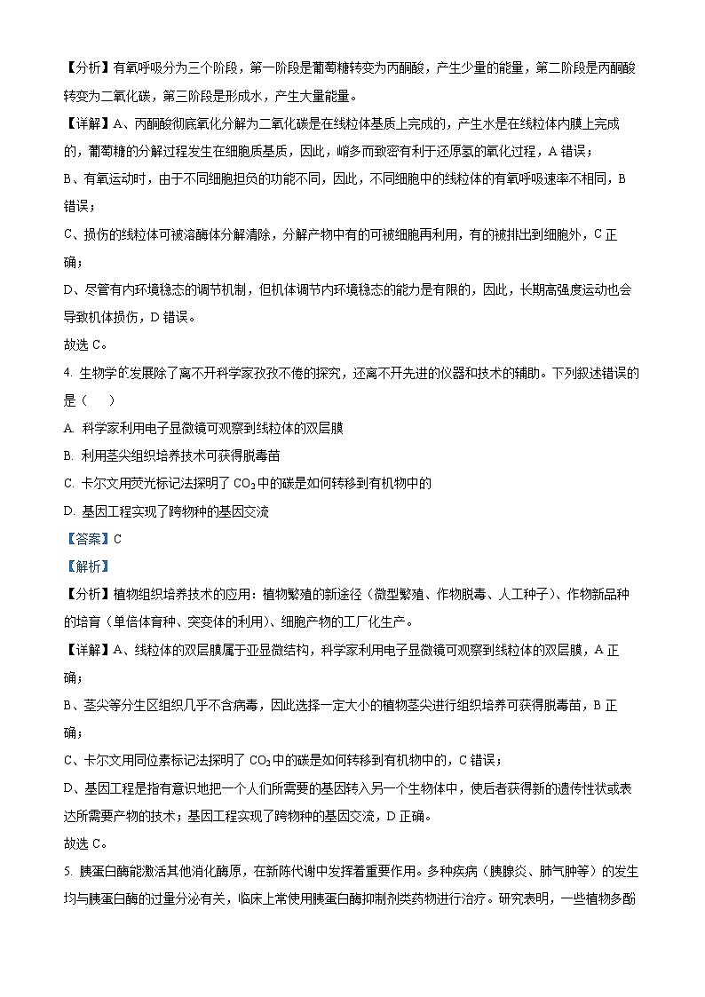 广东省省潮南区2024-2025学年高三上学期摸底考试生物试题（解析版）第3页
