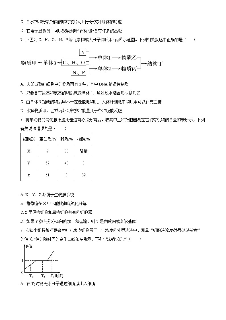 四川省成都列五中学2024-2025学年高三上学期入学摸底测试生物试题（原卷版）第2页