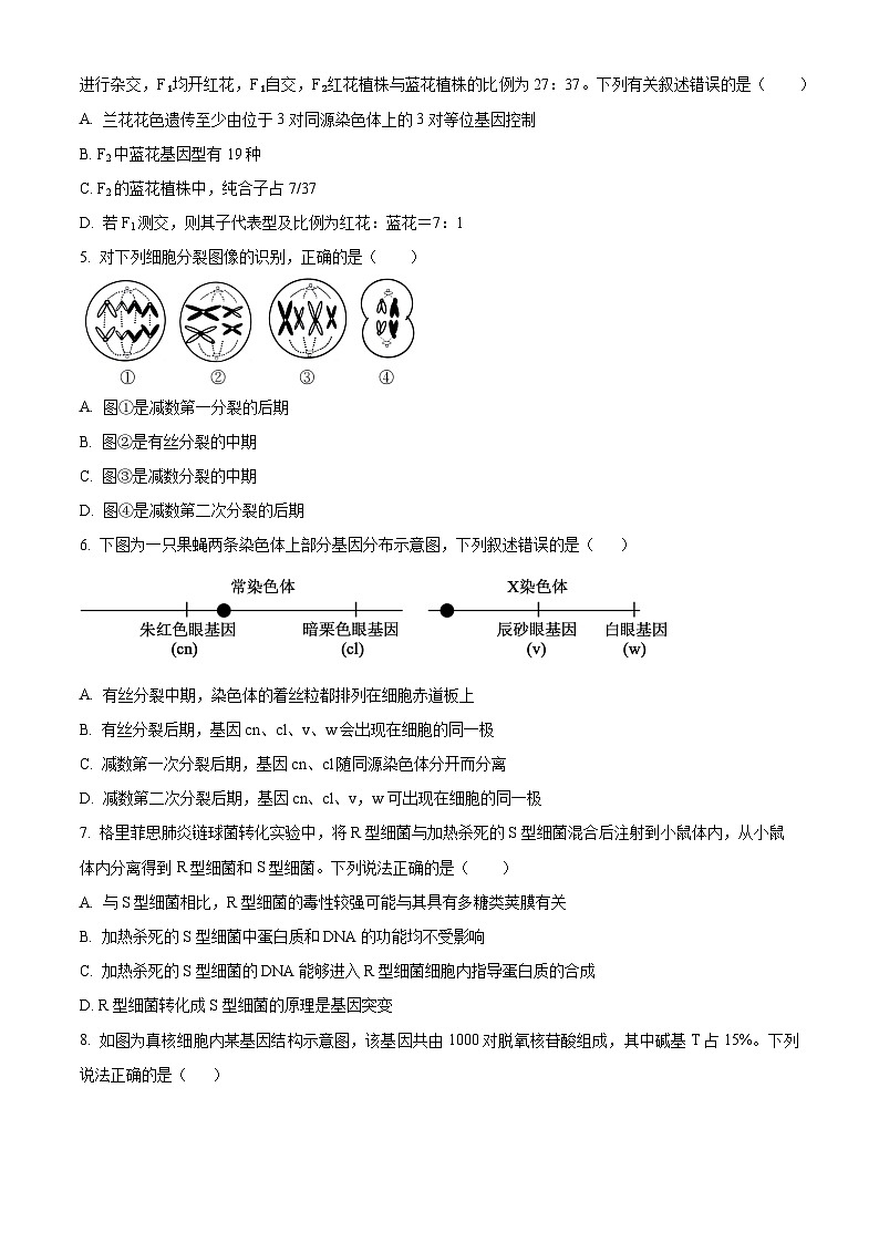陕西师范大学附属中学2024-2025学年高二上学期开学考试生物试题（原卷版）第2页