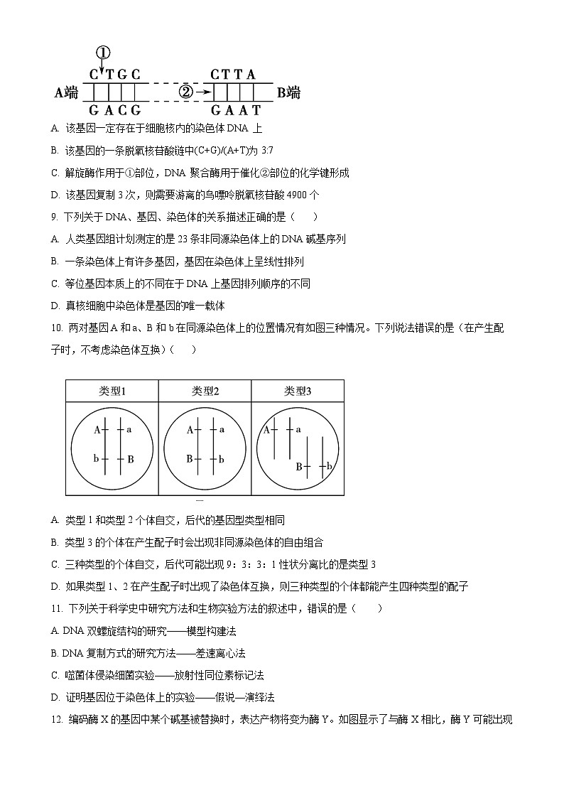 陕西师范大学附属中学2024-2025学年高二上学期开学考试生物试题（原卷版）第3页