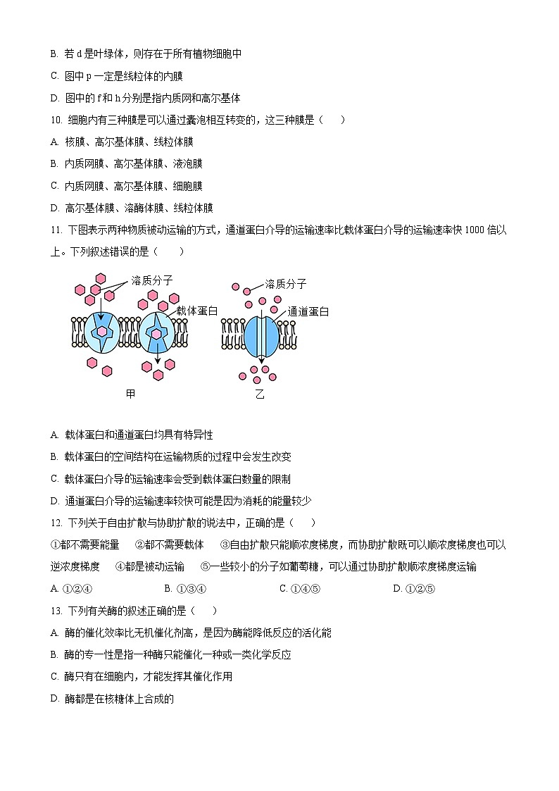 宁夏西吉中学2024-2025年高二上学期开学考试生物试题（原卷版）03