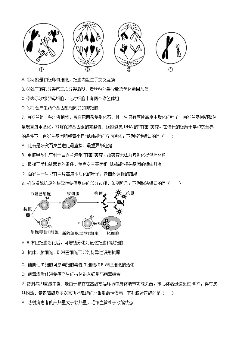 广东省省潮南区2024-2025学年高三上学期摸底考试生物试题（原卷版）03