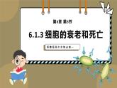 人教版高中生物必修一课件第6章 第3节6.3 细胞的衰老和死亡 课件