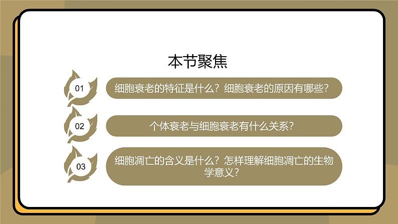 人教版高中生物必修一课件第6章 第3节6.3 细胞的衰老和死亡 课件第4页