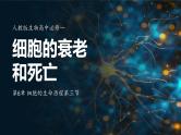 人教版生物高中必修一第6章 细胞的生命历程第三节 细胞的衰老和死亡 课件