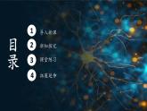 人教版生物高中必修一第6章 细胞的生命历程第三节 细胞的衰老和死亡 课件